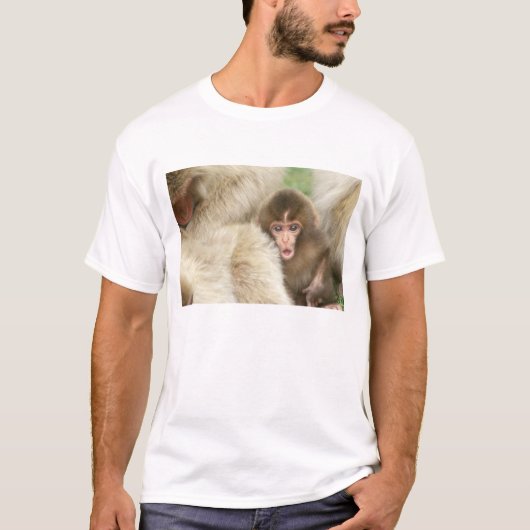 長野市地獄谷雪猿ベビー Tシャツ (正面)