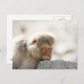 長野県中部市山ノ内 ポストカード (正面/裏面)