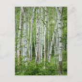 長野県八雲村本州中部 ポストカード (正面)