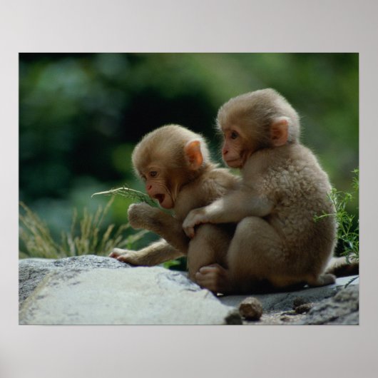 長野県 ポスター (正面)