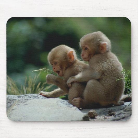 長野県 マウスパッド (正面)
