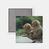 長野県 マグネット (正面/裏面)