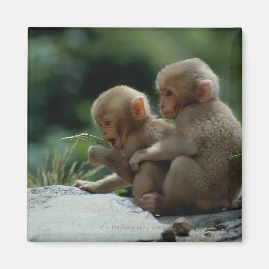 長野県 マグネット (正面)