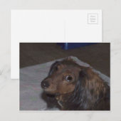 長髪のダシュント葉書 ポストカード (正面/裏面)