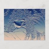 長髪の人 ポストカード (正面)