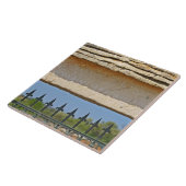 門と鍵の石にモンテラシェを刻んだ タイル (側面)