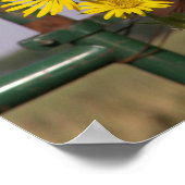 門に咲く一般的なひまわり ポスター (角)