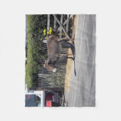 門のそばのロバ フリースブランケット (正面)