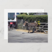 門のそばのロバ ポストカード (正面/裏面)