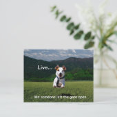 「門を開け離れて人と同じように生きる」はがき ポストカード (スタンド正面)