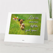 門を開け離れて生きろ！  サンキューカード (裏面)