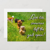 門を開け離れて生きろ! ポストカード (正面/裏面)