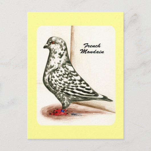 門大フランスの1973年 ポストカード (正面)