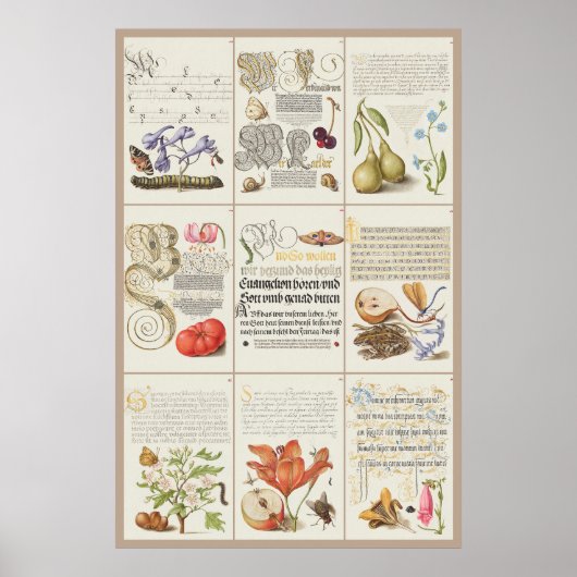 門沼田美良書家005 ポスター (正面)