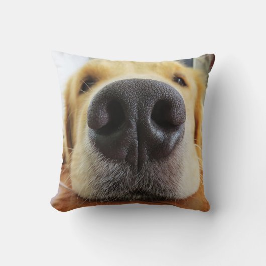 閉おもしろいじ犬の写真枕 クッション (正面)