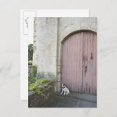 閉じたドアの前に座っている犬 ポストカード (正面/裏面)