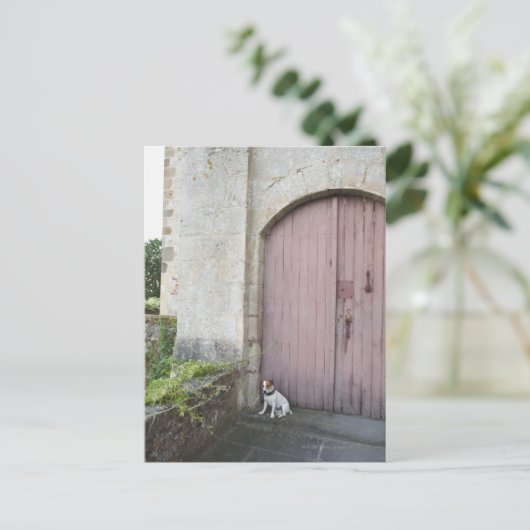 閉じたドアの前に座っている犬 ポストカード (スタンド正面)