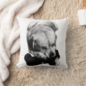 閉じる&コンテンツ クッション (ブランケット)