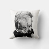 閉じる&コンテンツ クッション (裏面)