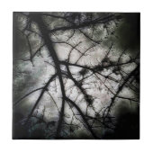 閉じる タイル (正面)