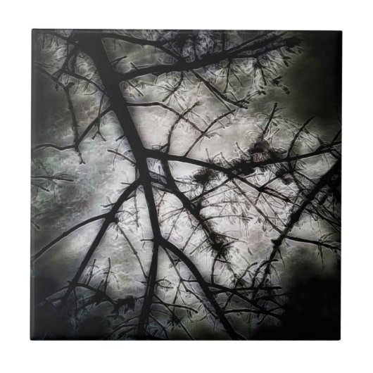 閉じる タイル (正面)