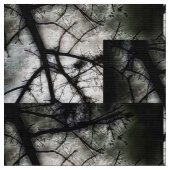 閉じる ファブリック (クローズアップ)