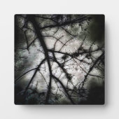 閉じる フォトプラーク (正面)