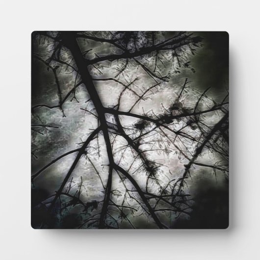 閉じる フォトプラーク (正面)