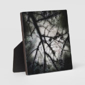 閉じる フォトプラーク (正面)