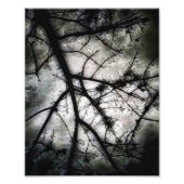 閉じる フォトプリント            (正面)