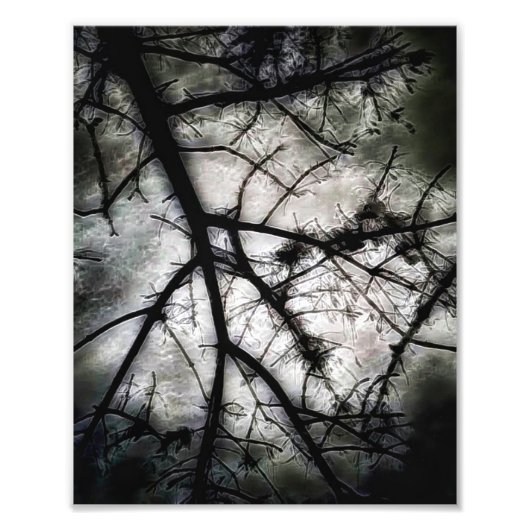 閉じる フォトプリント            (正面)