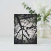 閉じる ポストカード (スタンド正面)