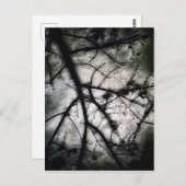 閉じる ポストカード (正面/裏面)