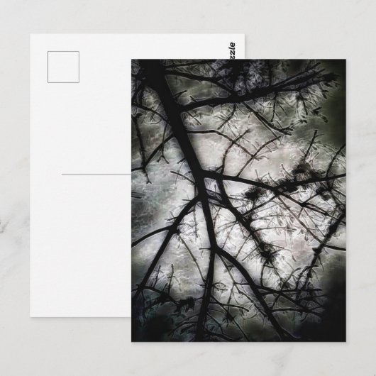 閉じる ポストカード (正面/裏面)