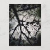 閉じる ポストカード (正面)