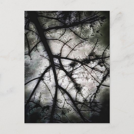 閉じる ポストカード (正面)