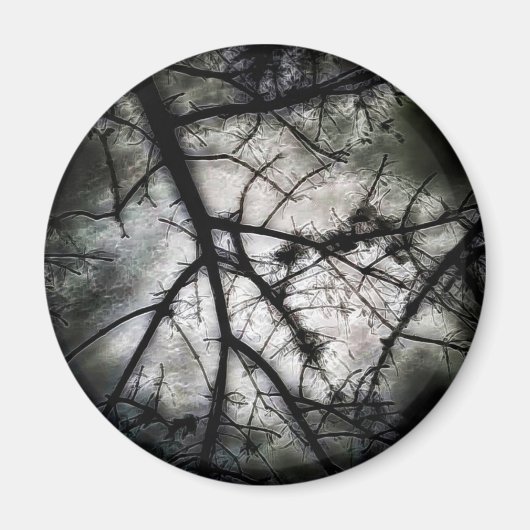 閉じる マグネット (正面)