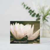 閉経後のポストカード ポストカード (スタンド正面)