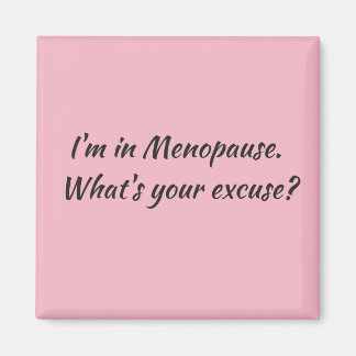 閉経磁石 マグネット