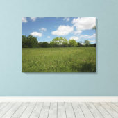 開いたフィールド全体：広角ビュー キャンバスプリント (インサイチュ (ウッドフロア))