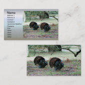 開いた分野の感謝祭日の野生の七面鳥 名刺 (正面/裏面)