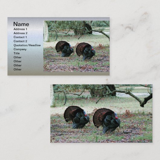 開いた分野の感謝祭日の野生の七面鳥 名刺 (正面/裏面)