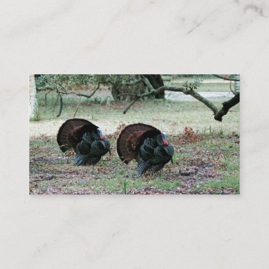 開いた分野の感謝祭日の野生の七面鳥 名刺 (裏面)