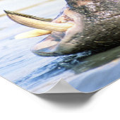 開いた口のヒッポ ポスター (角)