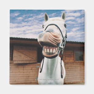 開いた口を持つ馬のクローズアップ マグネット