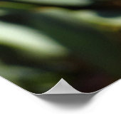 開いた翼を持つオレンジトンボ ポスター (角)