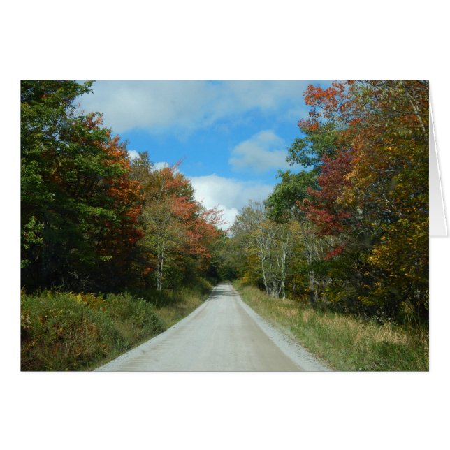 開いた道を取って下さい (正面横)