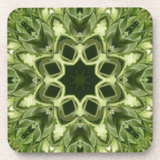 開いていないヒマワリ コースター (正面)