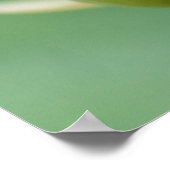 開かれていない水百合球、ダーバン植物学 ポスター (角)