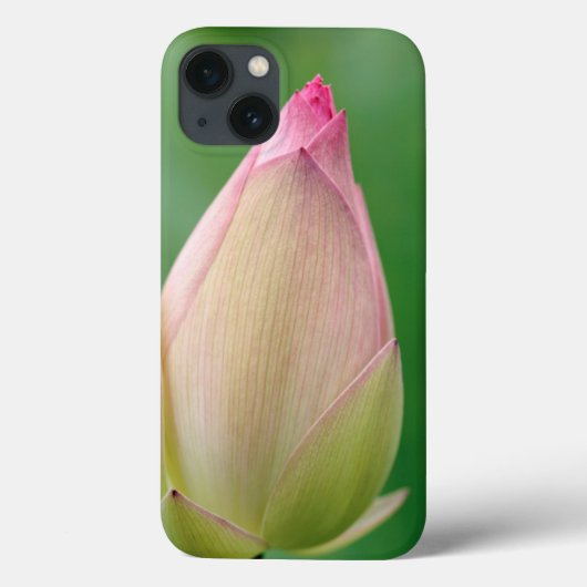 開かれていない水百合球、ダーバン植物学 Case-Mate iPhoneケース (裏面)